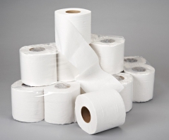 Papel Higienico  Folha Dupla (Pack12)